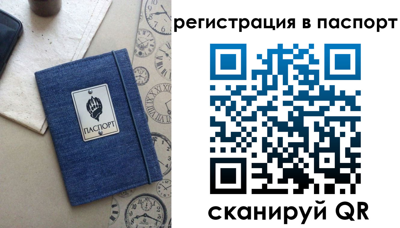 прописка в Жукове